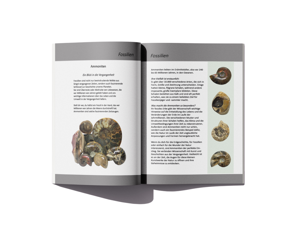 Aufgeschlagene Broschüre mit dem Kapitel Fossilien und Ammoniten, Fließtext links und Fotos rechts